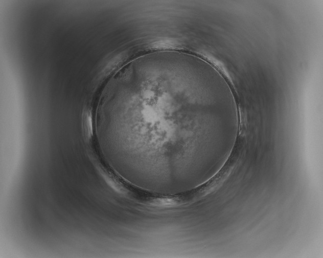 X0000113300061200909141255