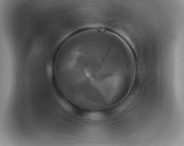 X0000113300063200909141255