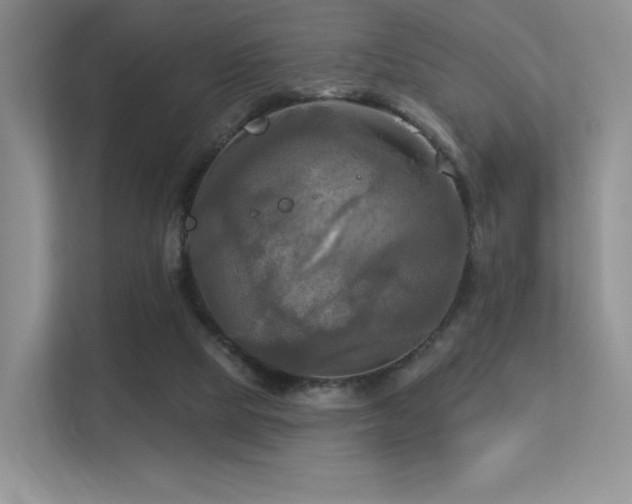 X0000113300065200909141255