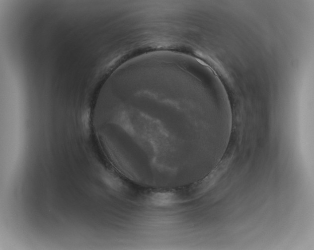 X0000113300066200909141255