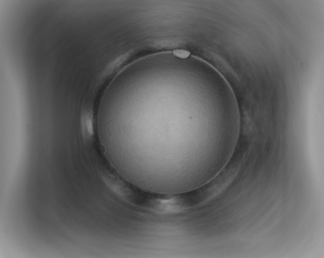 X0000113300068200909141256