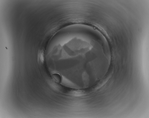 X0000113300069200909141256