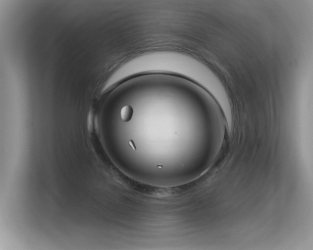 X0000113300076200909141256