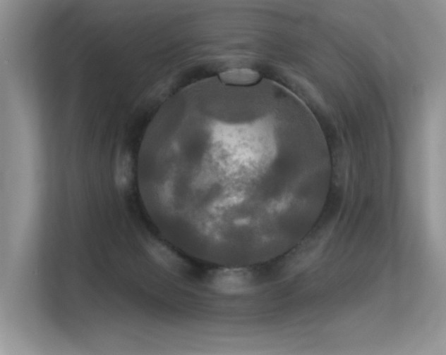 X0000113300077200909141256