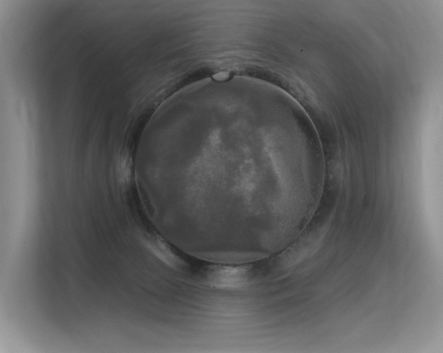 X0000113300081200909141256