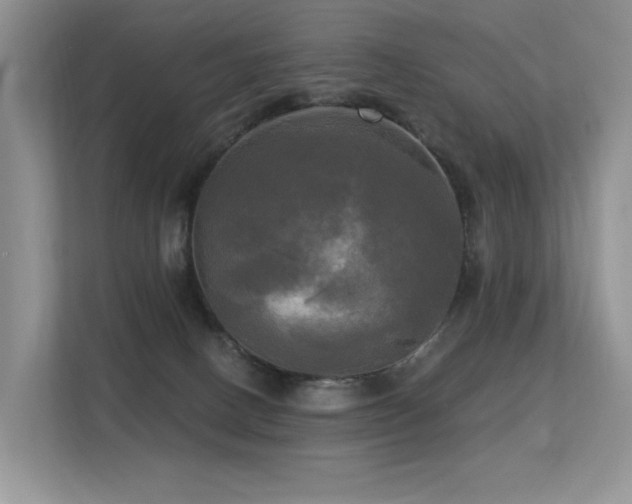 X0000113300082200909141256