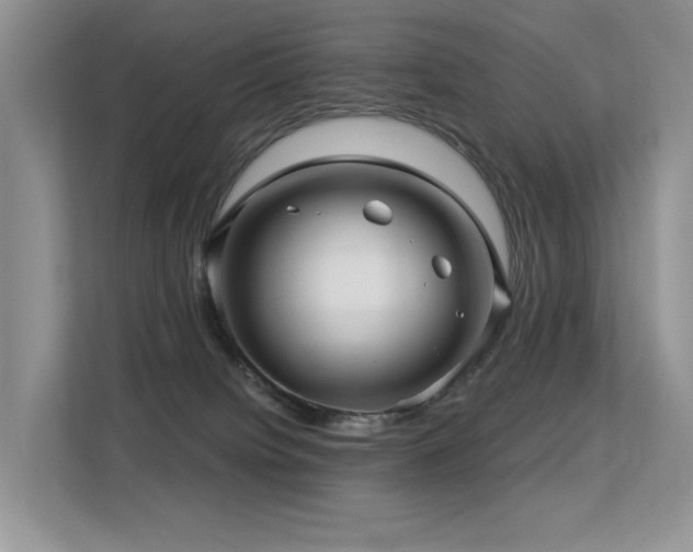 X0000113300084200909141256