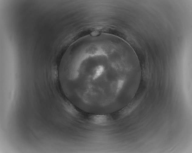 X0000113300085200909141256