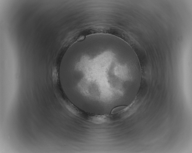 X0000113300086200909141256