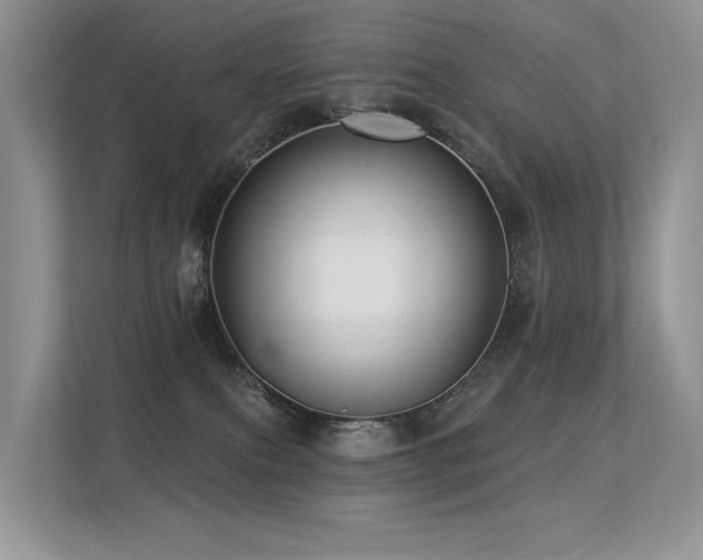 X0000113300087200909141256