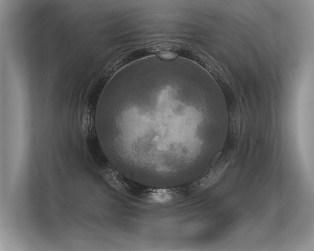 X0000113300091200909141256