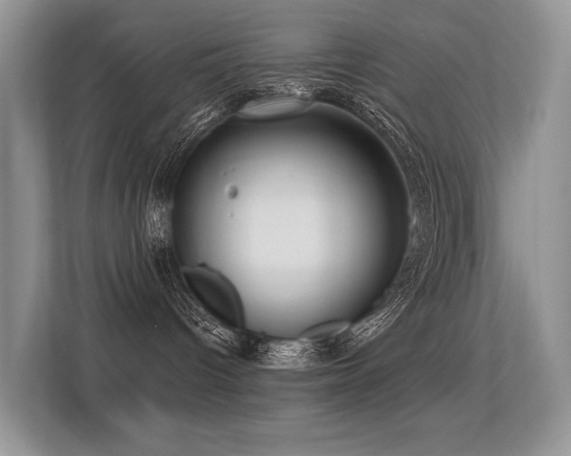 X0000113300096200909141256