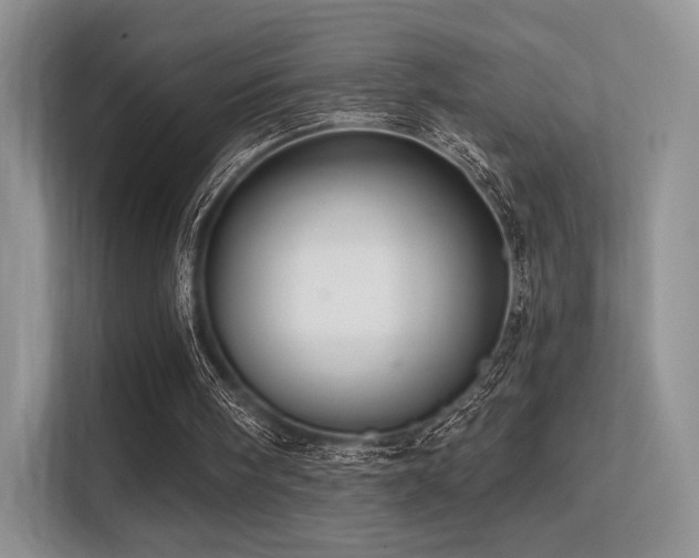 X0000113300098200909141255