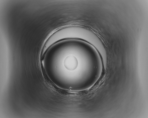 X0000113300100200909141255