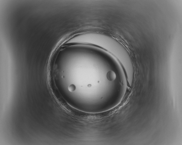 X0000113300101200909141255