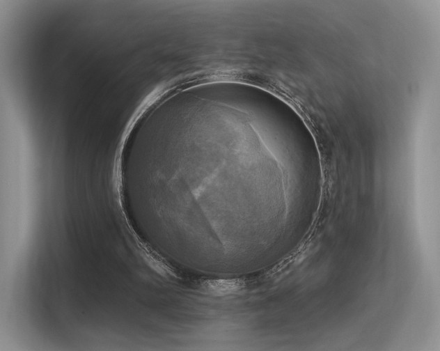 X0000113300102200909141255