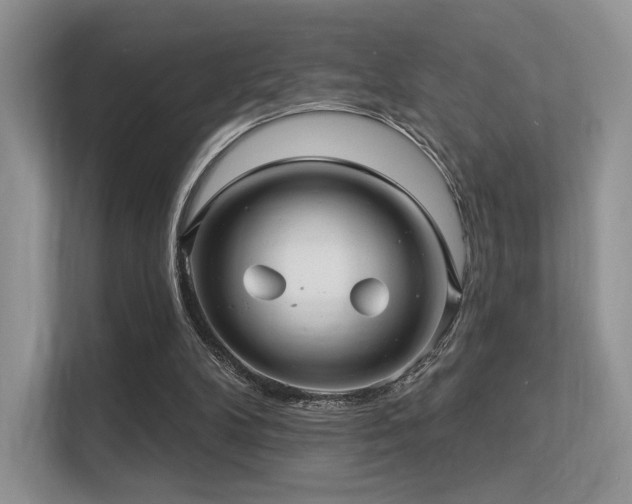 X0000113300104200909141255