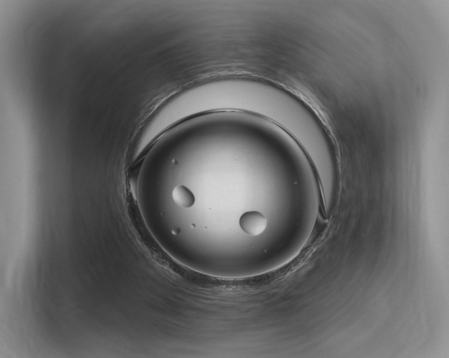 X0000113300105200909141255