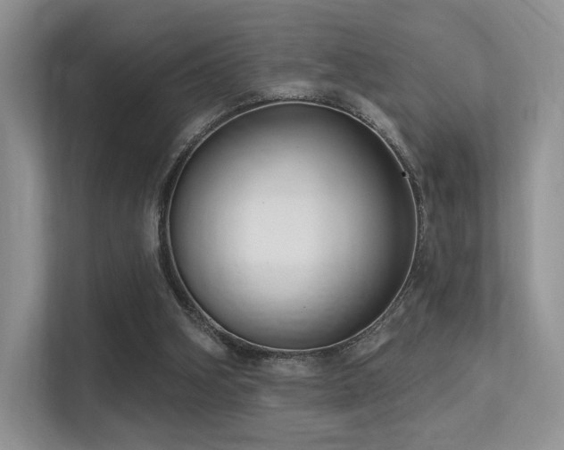 X0000113300106200909141255