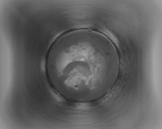 X0000113300107200909141255