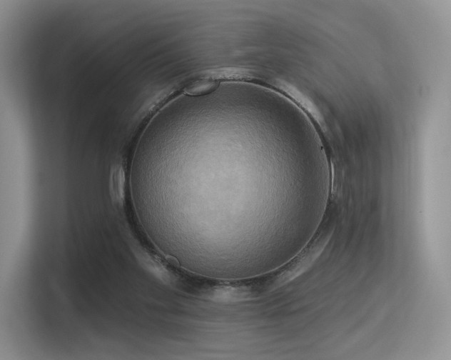 X0000113300109200909141255