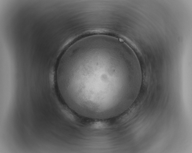 X0000113300111200909141255