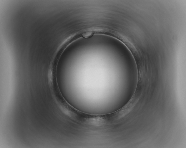 X0000113300112200909141255