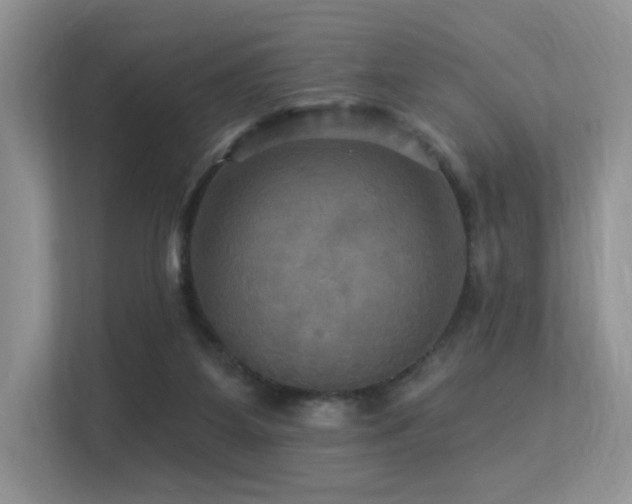 X0000113300115200909141255