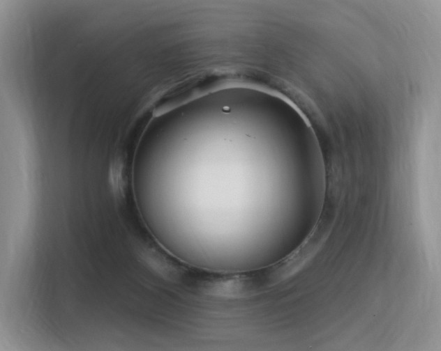 X0000113300116200909141255