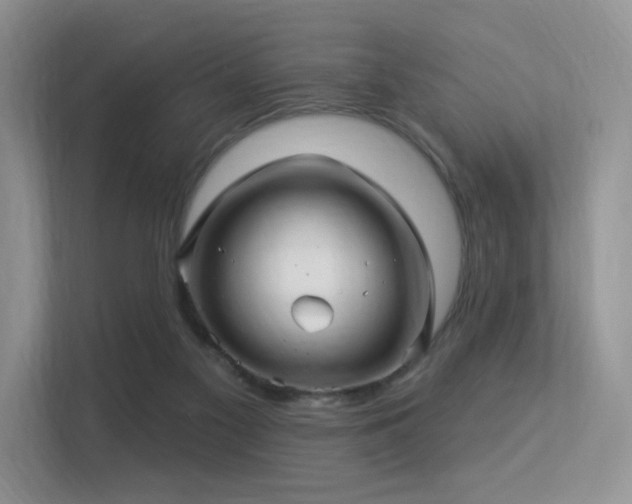 X0000113300117200909141255