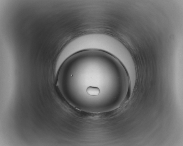 X0000113300120200909141255