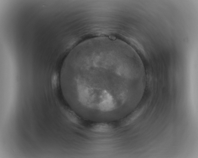 X0000113300123200909141255