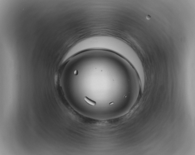 X0000113300124200909141255