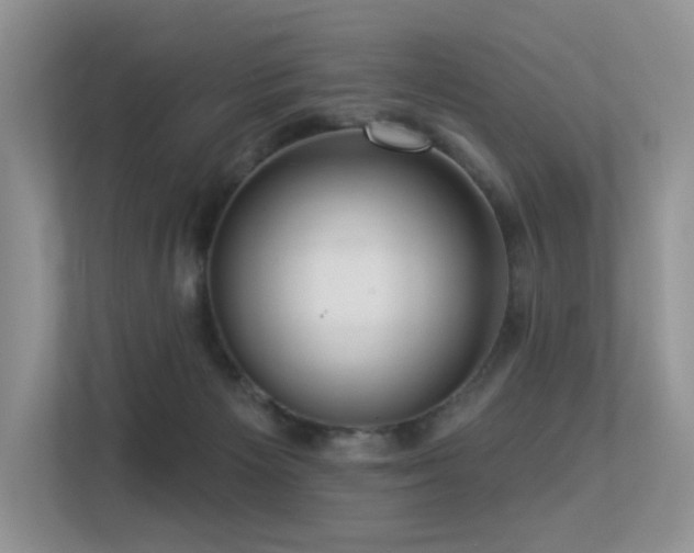 X0000113300125200909141255