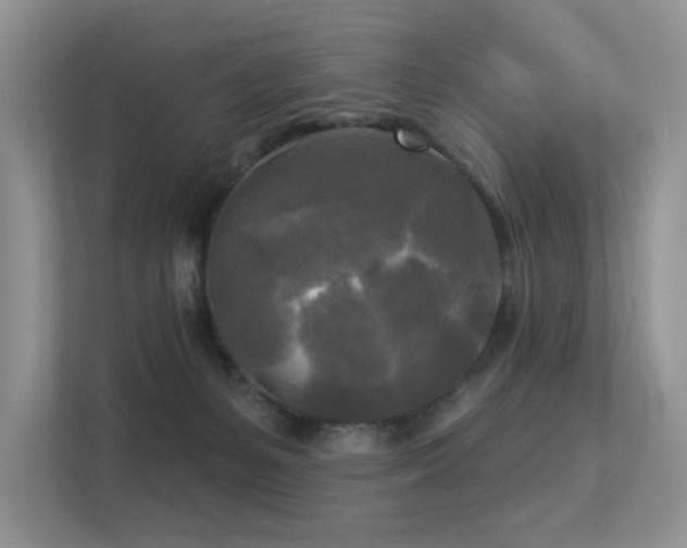 X0000113300127200909141255