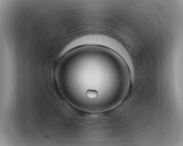 X0000113300129200909141255