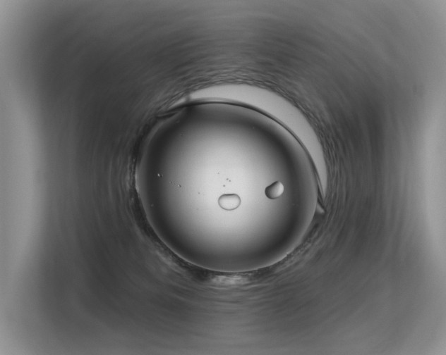 X0000113300133200909141255