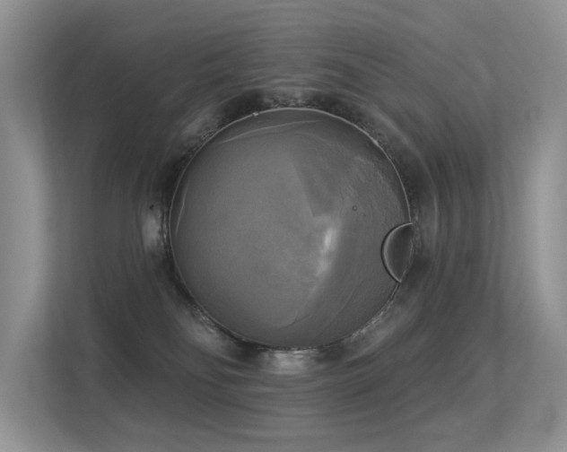 X0000113300134200909141255