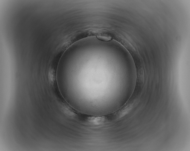 X0000113300135200909141255