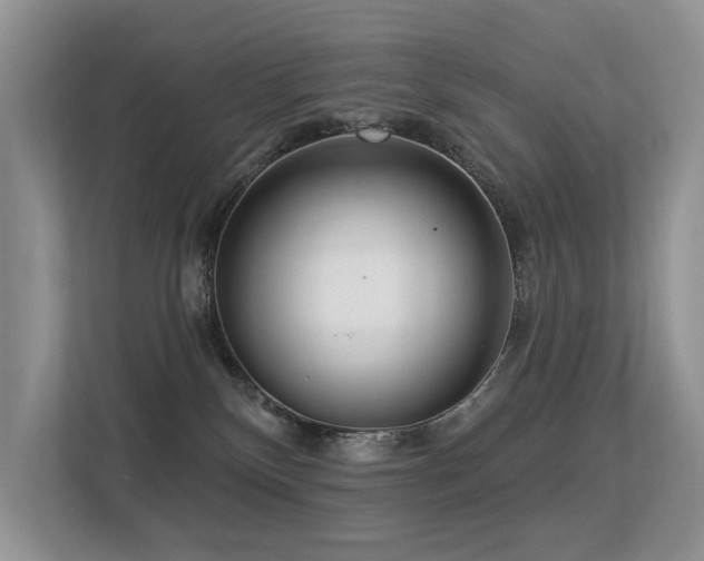 X0000113300136200909141255