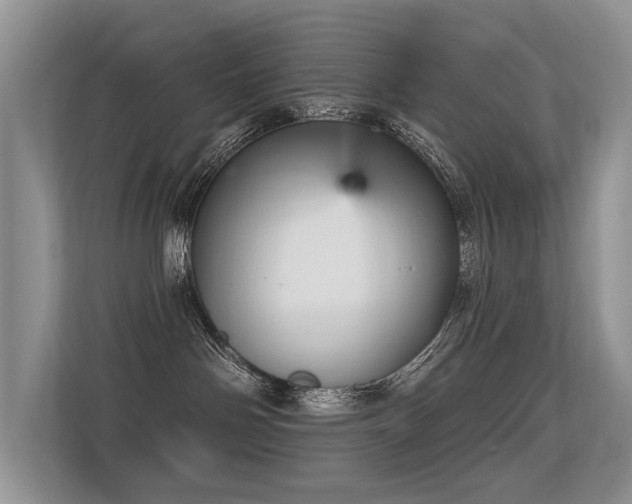 X0000113300142200909141255