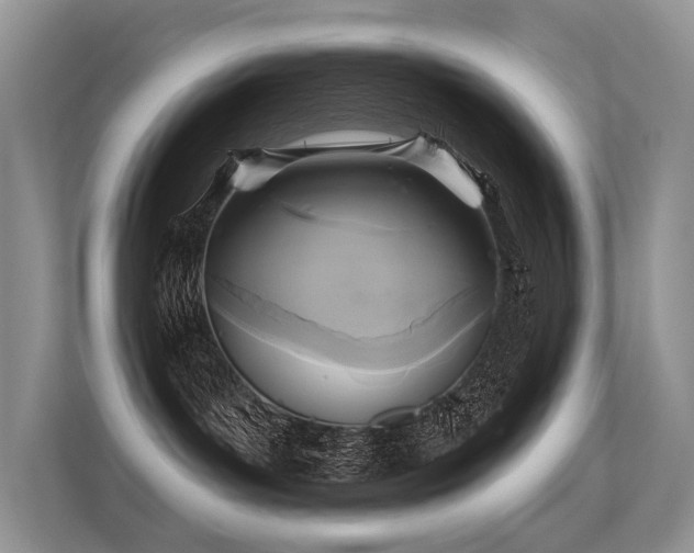 X0000113300143200909141255