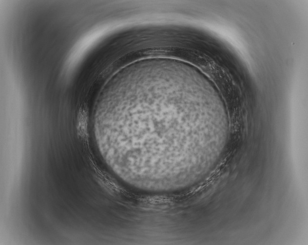 X0000113300146200909141254