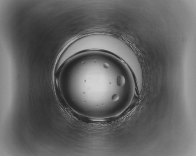 X0000113300148200909141254