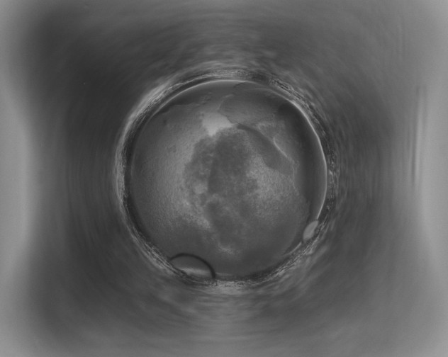 X0000113300149200909141254