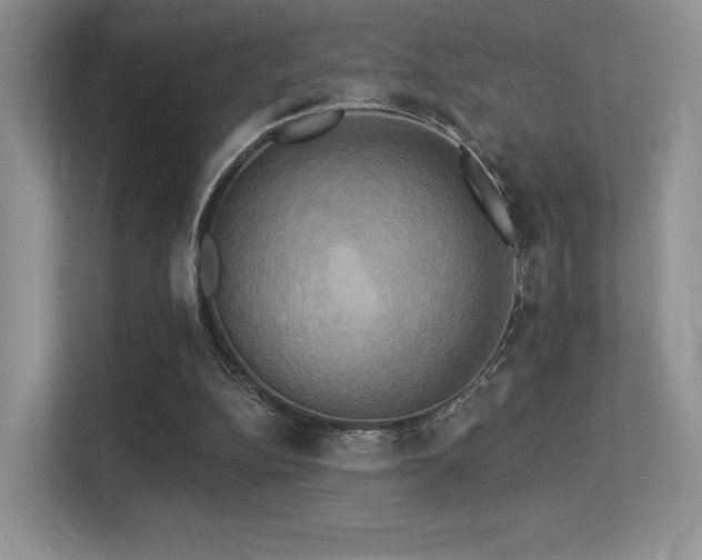 X0000113300152200909141254