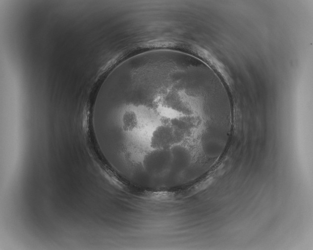 X0000113300153200909141254