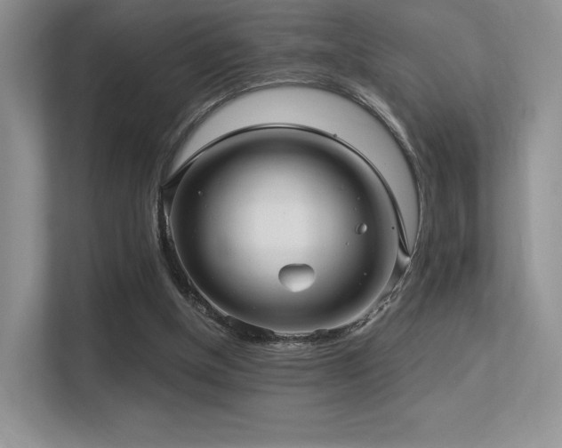 X0000113300154200909141254