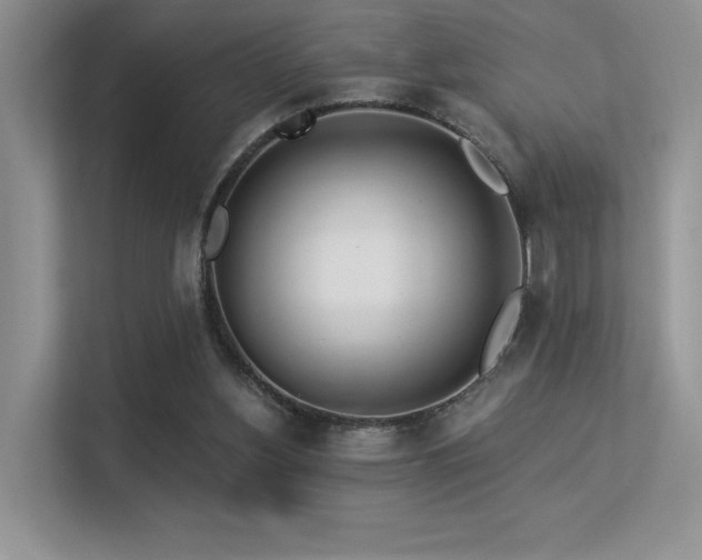 X0000113300156200909141254