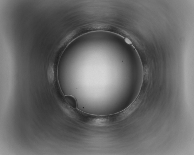 X0000113300158200909141254